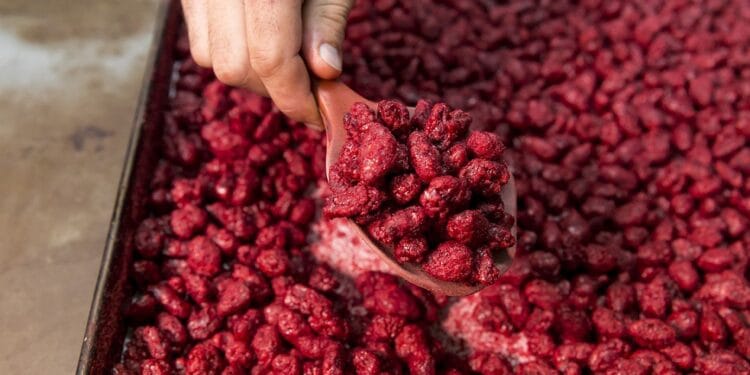 Must-Try Sweets and Desserts in Kefalonia 2025